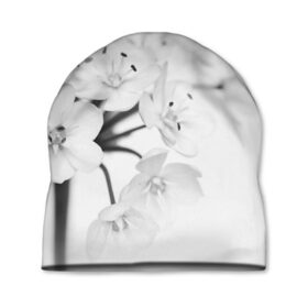 Шапка 3D с принтом Белые цветочки 5 в Белгороде, 100% полиэстер | универсальный размер, печать по всей поверхности изделия | белый | цветок | цветы