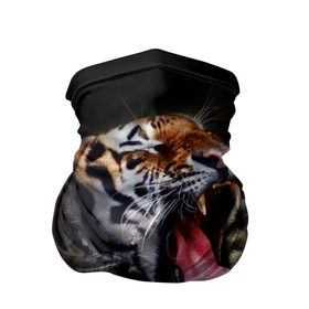 Бандана-труба 3D с принтом Оскал тигра в Белгороде, 100% полиэстер, ткань с особыми свойствами — Activecool | плотность 150‒180 г/м2; хорошо тянется, но сохраняет форму | дикая кошка | пасть | тигр | хищник