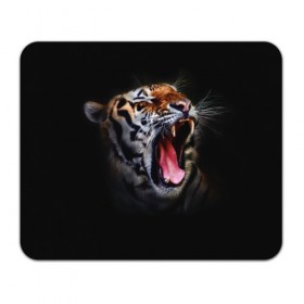 Коврик прямоугольный с принтом Оскал тигра в Белгороде, натуральный каучук | размер 230 х 185 мм; запечатка лицевой стороны | дикая кошка | пасть | тигр | хищник