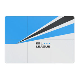 Магнитный плакат 3Х2 с принтом ESL league в Белгороде, Полимерный материал с магнитным слоем | 6 деталей размером 9*9 см | Тематика изображения на принте: 