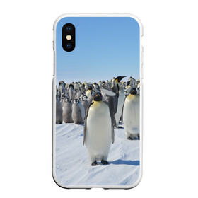 Чехол для iPhone XS Max матовый с принтом Пингвины в Белгороде, Силикон | Область печати: задняя сторона чехла, без боковых панелей | пингвин