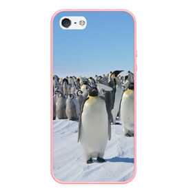 Чехол для iPhone 5/5S матовый с принтом Пингвины в Белгороде, Силикон | Область печати: задняя сторона чехла, без боковых панелей | пингвин