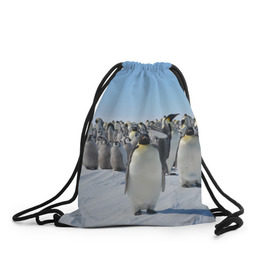 Рюкзак-мешок 3D с принтом Пингвины в Белгороде, 100% полиэстер | плотность ткани — 200 г/м2, размер — 35 х 45 см; лямки — толстые шнурки, застежка на шнуровке, без карманов и подкладки | пингвин
