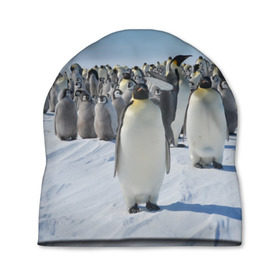 Шапка 3D с принтом Пингвины в Белгороде, 100% полиэстер | универсальный размер, печать по всей поверхности изделия | пингвин