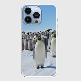 Чехол для iPhone 13 Pro с принтом Пингвины в Белгороде,  |  | пингвин