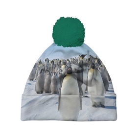 Шапка 3D c помпоном с принтом Пингвины в Белгороде, 100% полиэстер | универсальный размер, печать по всей поверхности изделия | пингвин