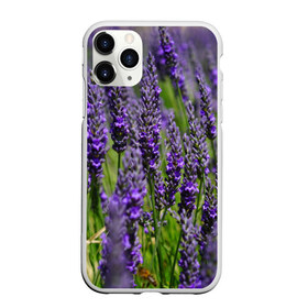 Чехол для iPhone 11 Pro матовый с принтом Лаванда в Белгороде, Силикон |  | зеленый | зелень | лаванда | лето | поле | природа | синий | цветы