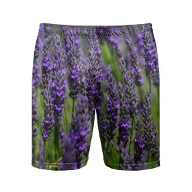 Мужские шорты 3D спортивные с принтом Лаванда в Белгороде,  |  | зеленый | зелень | лаванда | лето | поле | природа | синий | цветы