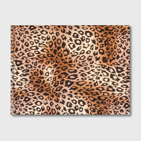 Альбом для рисования с принтом Леопардовая шкура в Белгороде, 100% бумага
 | матовая бумага, плотность 200 мг. | Тематика изображения на принте: гепард | гламур | леопард | мода | роскошь | шерсть