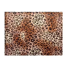 Обложка для студенческого билета с принтом Леопардовая шкура в Белгороде, натуральная кожа | Размер: 11*8 см; Печать на всей внешней стороне | Тематика изображения на принте: гепард | гламур | леопард | мода | роскошь | шерсть