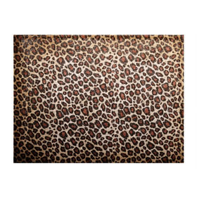 Обложка для студенческого билета с принтом Шкура гепарда в Белгороде, натуральная кожа | Размер: 11*8 см; Печать на всей внешней стороне | гепард | гламур | леопард | мода | пятна | роскошь | ткань | точки | шерсть