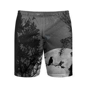 Мужские шорты 3D спортивные с принтом Черный ворон в Белгороде,  |  | ворон | луна | новинки | ночь | полнолуние | природа | птица