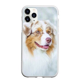 Чехол для iPhone 11 Pro Max матовый с принтом Австралийская овчарка в Белгороде, Силикон |  | Тематика изображения на принте: австралийская овчарка | животные | природа | собака | щенок