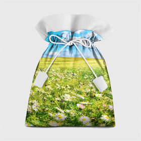 Подарочный 3D мешок с принтом Ромашковый ковёр в Белгороде, 100% полиэстер | Размер: 29*39 см | горизонт | зелень | небо | облака | поле | поляна | ромашки | солнце | цветы