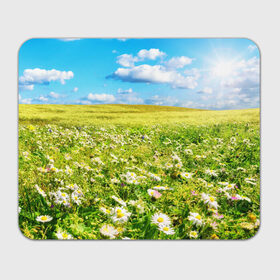 Коврик прямоугольный с принтом Ромашковый ковёр в Белгороде, натуральный каучук | размер 230 х 185 мм; запечатка лицевой стороны | Тематика изображения на принте: горизонт | зелень | небо | облака | поле | поляна | ромашки | солнце | цветы
