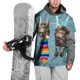 Накидка на куртку 3D с принтом Мейн-кун 1 в Белгороде, 100% полиэстер |  | кот | котенок | котик | котэ | кошка | мейн кун | мейнкун | мэйн кун | мэйнкун