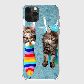 Чехол для iPhone 12 Pro с принтом Мейн-кун 1 в Белгороде, силикон | область печати: задняя сторона чехла, без боковых панелей | Тематика изображения на принте: кот | котенок | котик | котэ | кошка | мейн кун | мейнкун | мэйн кун | мэйнкун