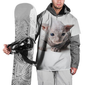 Накидка на куртку 3D с принтом Сфинкс 1 в Белгороде, 100% полиэстер |  | Тематика изображения на принте: кот | котенок | котик | котэ | кошка | сфинкс