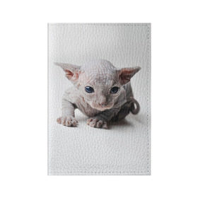 Обложка для паспорта матовая кожа с принтом Сфинкс 1 в Белгороде, натуральная матовая кожа | размер 19,3 х 13,7 см; прозрачные пластиковые крепления | кот | котенок | котик | котэ | кошка | сфинкс