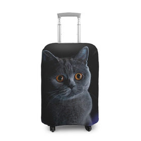 Чехол для чемодана 3D с принтом Британец 1 в Белгороде, 86% полиэфир, 14% спандекс | двустороннее нанесение принта, прорези для ручек и колес | британец | британская | британцы | кот | котенок | котик | котэ | кошка