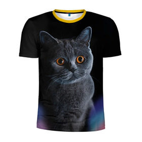 Мужская футболка 3D спортивная с принтом Британец 1 в Белгороде, 100% полиэстер с улучшенными характеристиками | приталенный силуэт, круглая горловина, широкие плечи, сужается к линии бедра | британец | британская | британцы | кот | котенок | котик | котэ | кошка