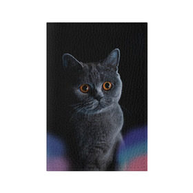 Обложка для паспорта матовая кожа с принтом Британец 1 в Белгороде, натуральная матовая кожа | размер 19,3 х 13,7 см; прозрачные пластиковые крепления | Тематика изображения на принте: британец | британская | британцы | кот | котенок | котик | котэ | кошка