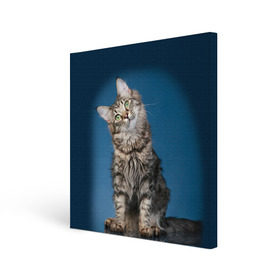 Холст квадратный с принтом Мейн-кун 2 в Белгороде, 100% ПВХ |  | кот | котенок | котик | котэ | кошка | мейн кун | мейнкун | мэйн кун | мэйнкун
