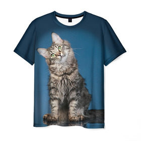 Мужская футболка 3D с принтом Мейн-кун 2 в Белгороде, 100% полиэфир | прямой крой, круглый вырез горловины, длина до линии бедер | Тематика изображения на принте: кот | котенок | котик | котэ | кошка | мейн кун | мейнкун | мэйн кун | мэйнкун