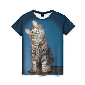 Женская футболка 3D с принтом Мейн-кун 2 в Белгороде, 100% полиэфир ( синтетическое хлопкоподобное полотно) | прямой крой, круглый вырез горловины, длина до линии бедер | кот | котенок | котик | котэ | кошка | мейн кун | мейнкун | мэйн кун | мэйнкун
