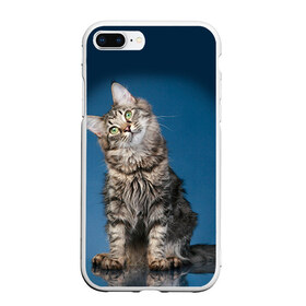 Чехол для iPhone 7Plus/8 Plus матовый с принтом Мейн-кун 2 в Белгороде, Силикон | Область печати: задняя сторона чехла, без боковых панелей | кот | котенок | котик | котэ | кошка | мейн кун | мейнкун | мэйн кун | мэйнкун