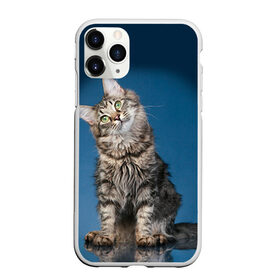 Чехол для iPhone 11 Pro Max матовый с принтом Мейн-кун 2 в Белгороде, Силикон |  | кот | котенок | котик | котэ | кошка | мейн кун | мейнкун | мэйн кун | мэйнкун