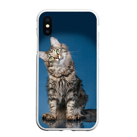 Чехол для iPhone XS Max матовый с принтом Мейн-кун 2 в Белгороде, Силикон | Область печати: задняя сторона чехла, без боковых панелей | кот | котенок | котик | котэ | кошка | мейн кун | мейнкун | мэйн кун | мэйнкун