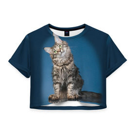 Женская футболка 3D укороченная с принтом Мейн-кун 2 в Белгороде, 100% полиэстер | круглая горловина, длина футболки до линии талии, рукава с отворотами | кот | котенок | котик | котэ | кошка | мейн кун | мейнкун | мэйн кун | мэйнкун