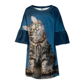 Детское платье 3D с принтом Мейн-кун 2 в Белгороде, 100% полиэстер | прямой силуэт, чуть расширенный к низу. Круглая горловина, на рукавах — воланы | кот | котенок | котик | котэ | кошка | мейн кун | мейнкун | мэйн кун | мэйнкун