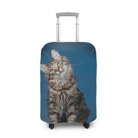 Чехол для чемодана 3D с принтом Мейн-кун 2 в Белгороде, 86% полиэфир, 14% спандекс | двустороннее нанесение принта, прорези для ручек и колес | кот | котенок | котик | котэ | кошка | мейн кун | мейнкун | мэйн кун | мэйнкун