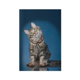 Обложка для паспорта матовая кожа с принтом Мейн-кун 2 в Белгороде, натуральная матовая кожа | размер 19,3 х 13,7 см; прозрачные пластиковые крепления | Тематика изображения на принте: кот | котенок | котик | котэ | кошка | мейн кун | мейнкун | мэйн кун | мэйнкун
