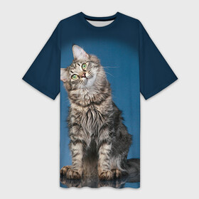 Платье-футболка 3D с принтом Мейн кун 2 в Белгороде,  |  | кот | котенок | котик | котэ | кошка | мейн кун | мейнкун | мэйн кун | мэйнкун