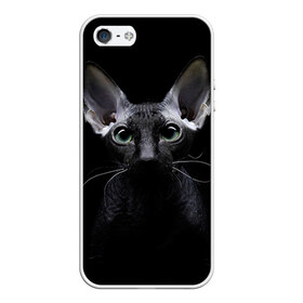 Чехол для iPhone 5/5S матовый с принтом Сфинкс 2 в Белгороде, Силикон | Область печати: задняя сторона чехла, без боковых панелей | кот | котенок | котик | котэ | кошка | сфинкс