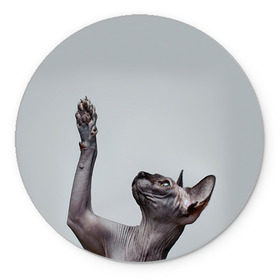 Коврик круглый с принтом Сфинкс 3 в Белгороде, резина и полиэстер | круглая форма, изображение наносится на всю лицевую часть | кот | котенок | котик | котэ | кошка | сфинкс