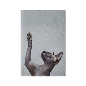 Обложка для паспорта матовая кожа с принтом Сфинкс 3 в Белгороде, натуральная матовая кожа | размер 19,3 х 13,7 см; прозрачные пластиковые крепления | Тематика изображения на принте: кот | котенок | котик | котэ | кошка | сфинкс