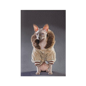 Обложка для паспорта матовая кожа с принтом Сфинкс 4 в Белгороде, натуральная матовая кожа | размер 19,3 х 13,7 см; прозрачные пластиковые крепления | кот | котенок | котик | котэ | кошка | сфинкс