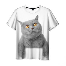 Мужская футболка 3D с принтом Британец 2 в Белгороде, 100% полиэфир | прямой крой, круглый вырез горловины, длина до линии бедер | Тематика изображения на принте: британец | британская | британцы | кот | котенок | котик | котэ | кошка