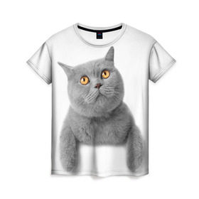 Женская футболка 3D с принтом Британец 2 в Белгороде, 100% полиэфир ( синтетическое хлопкоподобное полотно) | прямой крой, круглый вырез горловины, длина до линии бедер | британец | британская | британцы | кот | котенок | котик | котэ | кошка