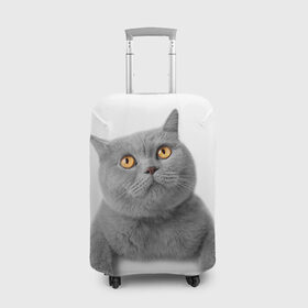 Чехол для чемодана 3D с принтом Британец 2 в Белгороде, 86% полиэфир, 14% спандекс | двустороннее нанесение принта, прорези для ручек и колес | британец | британская | британцы | кот | котенок | котик | котэ | кошка