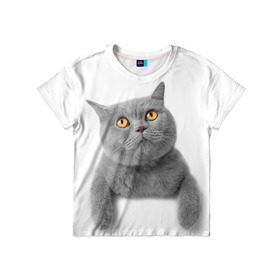 Детская футболка 3D с принтом Британец 2 в Белгороде, 100% гипоаллергенный полиэфир | прямой крой, круглый вырез горловины, длина до линии бедер, чуть спущенное плечо, ткань немного тянется | британец | британская | британцы | кот | котенок | котик | котэ | кошка