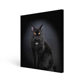 Холст квадратный с принтом Мейн-кун 3 в Белгороде, 100% ПВХ |  | кот | котенок | котик | котэ | кошка | мейн кун | мейнкун | мэйн кун | мэйнкун