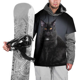 Накидка на куртку 3D с принтом Мейн-кун 3 в Белгороде, 100% полиэстер |  | кот | котенок | котик | котэ | кошка | мейн кун | мейнкун | мэйн кун | мэйнкун