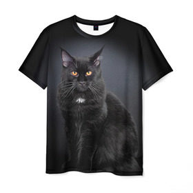Мужская футболка 3D с принтом Мейн-кун 3 в Белгороде, 100% полиэфир | прямой крой, круглый вырез горловины, длина до линии бедер | Тематика изображения на принте: кот | котенок | котик | котэ | кошка | мейн кун | мейнкун | мэйн кун | мэйнкун