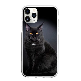 Чехол для iPhone 11 Pro Max матовый с принтом Мейн-кун 3 в Белгороде, Силикон |  | кот | котенок | котик | котэ | кошка | мейн кун | мейнкун | мэйн кун | мэйнкун