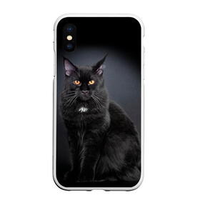 Чехол для iPhone XS Max матовый с принтом Мейн-кун 3 в Белгороде, Силикон | Область печати: задняя сторона чехла, без боковых панелей | кот | котенок | котик | котэ | кошка | мейн кун | мейнкун | мэйн кун | мэйнкун